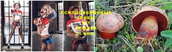 не бодяженный Абинск